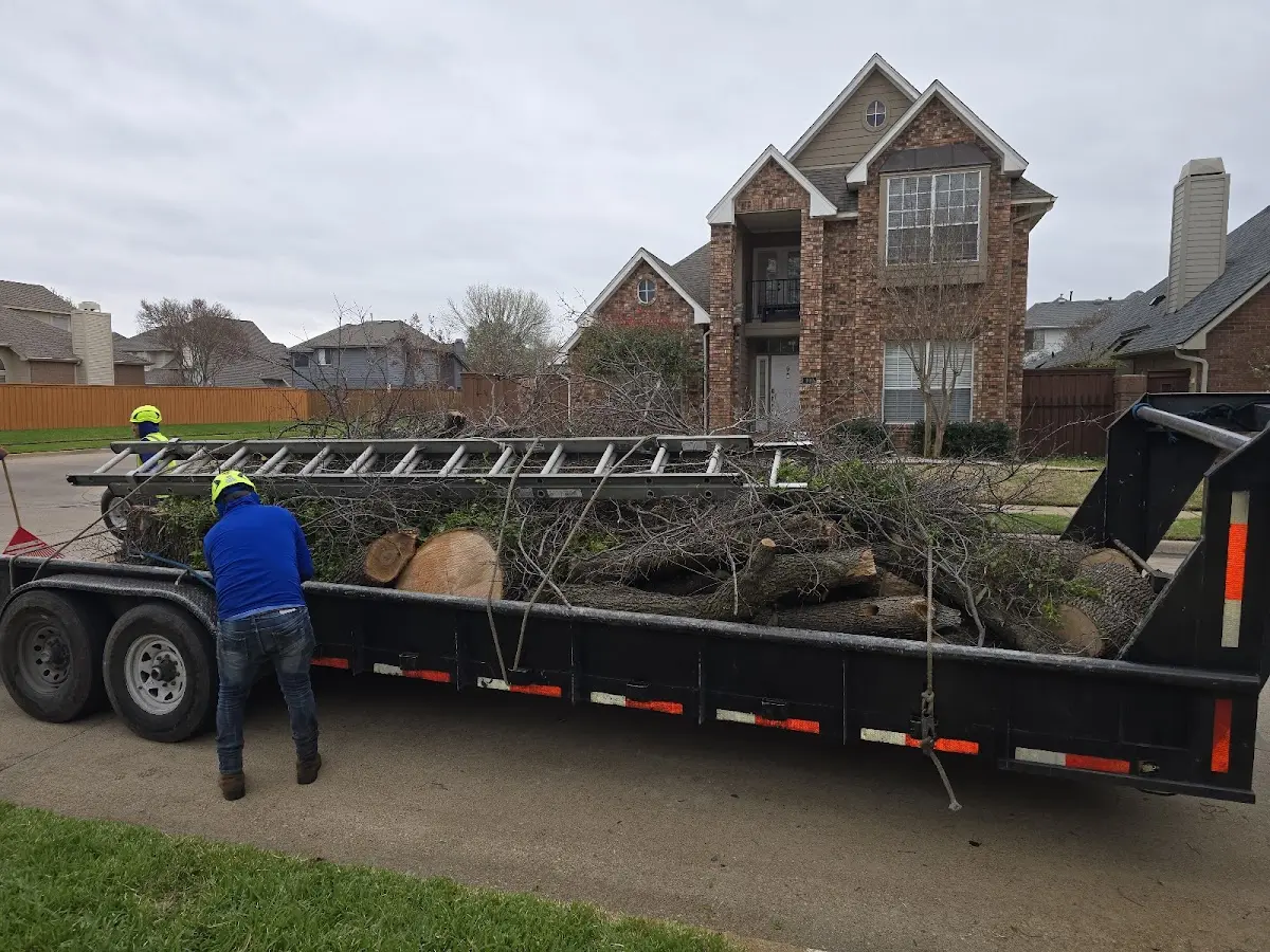Expert Tree Fertilization with proper safety equipment in Two Buttes